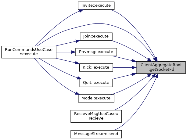 ft_irc: IClientAggregateRoot Class Reference